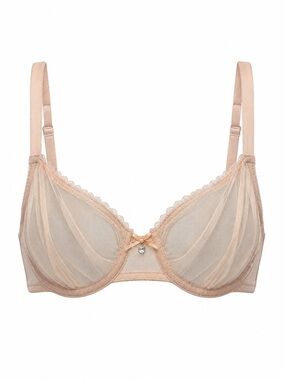 Sheer Nude Mesh Underwire Bra – 34D